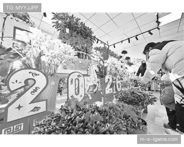 布鲁日新趋势:经济增长与居民生活水平同步提升 布鲁日新趋势:经济增长与居民生活水平同步提升